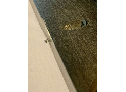 Стул Life фото покупателя 4