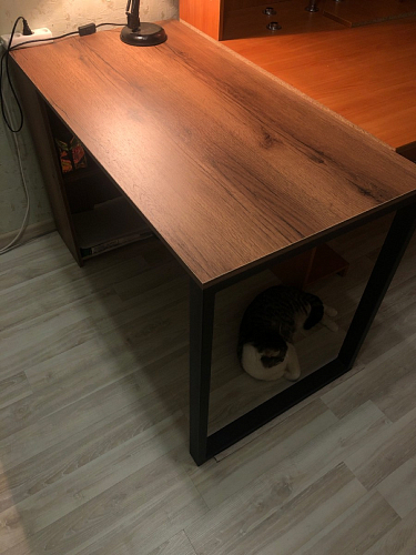 Письменный стол Битти Лофт 116х60х75 креатель / черный матовый фото покупателя 185