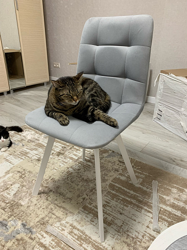 Стул на металлокаркасе Чилли зеленый / черный фото покупателя 928