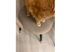 Стул на металлокаркасе Gabi 1 gray / black фото покупателя 670