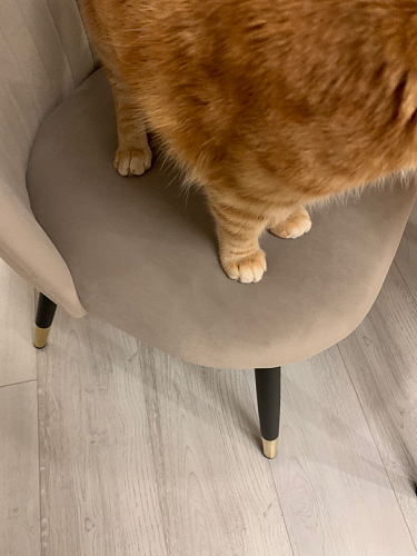 Стул на металлокаркасе Gabi 1 light purple / black фото покупателя 670