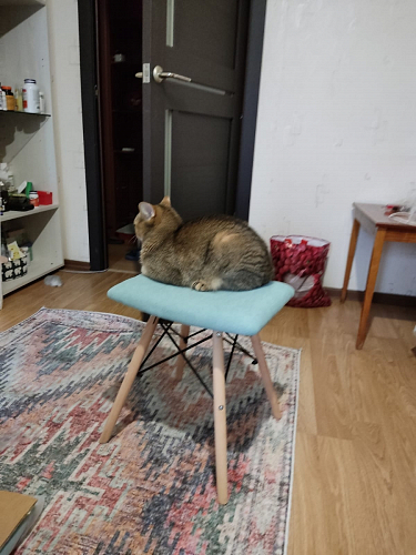 Табурет Ben pink фото покупателя 44