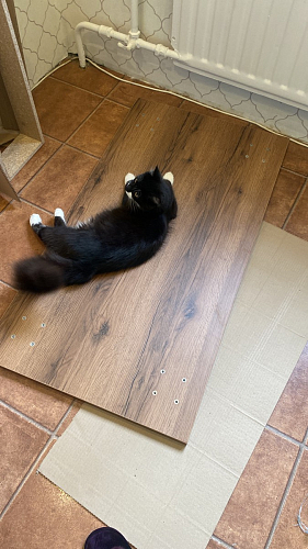 Стол Тринити Лофт 120 32 мм дуб галифакс табако / черный матовый фото покупателя 145