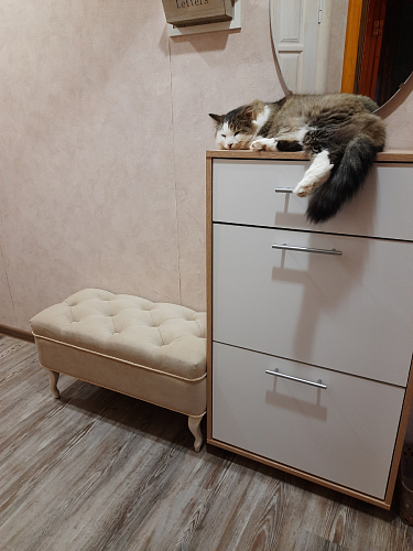 Обувница ТП-2 дуб делано фото покупателя 3