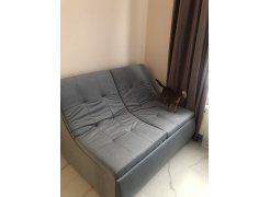 Модуль кресло Холидей зеленый микровельвет фото покупателя 2