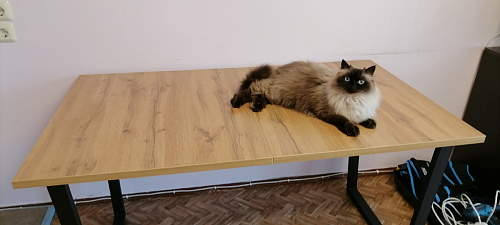 Деревянный стол Лота Лофт 120х75 белый матовый / дуб крафт золотой фото покупателя 326